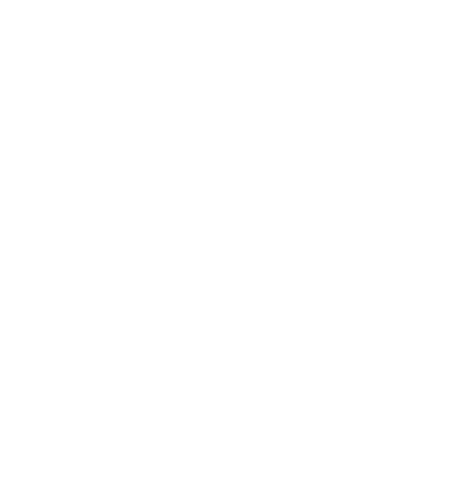 client 33